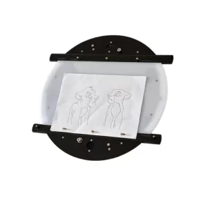 12 Field Traditional Animation Acrylic Disc