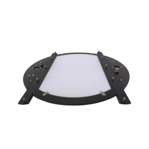 16 Field Traditional Animation Fancy Disc