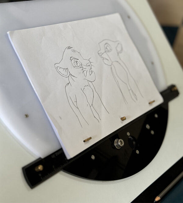 12 field 2D Traditional Animation Lightbox