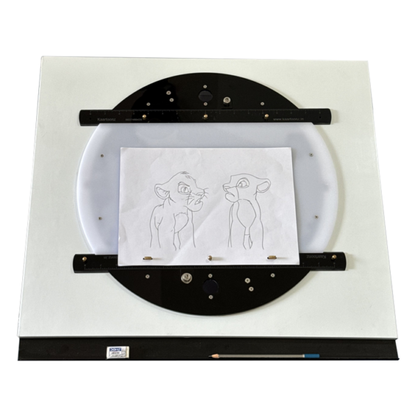 12 field 2D Traditional Animation Lightbox